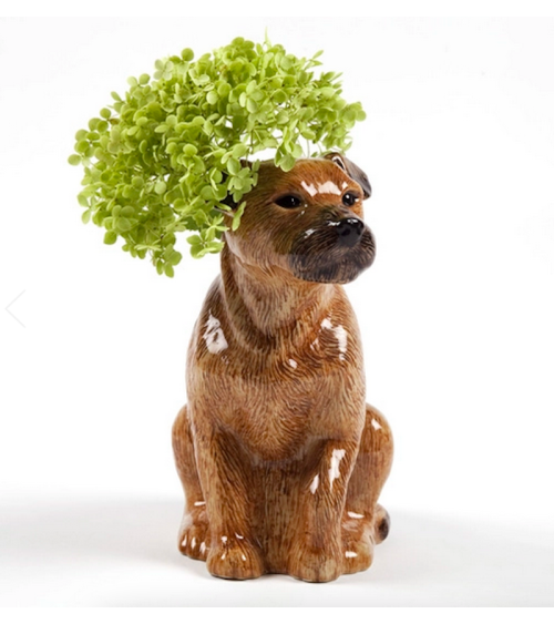 Vaso di fiori - Border Terrier Quail Ceramics Vasi design svizzera originale