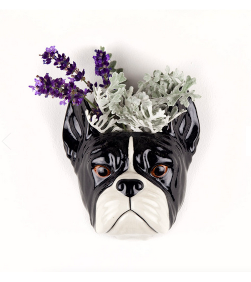 Bulldog Francese - Piccolo vaso da parete Cane Quail Ceramics vasi eleganti per interni per fiori decorativi design kitatori ...