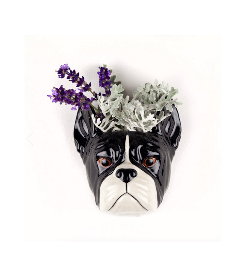 Französische Bulldogge - Kleine Wandvase Hund Quail Ceramics vasen deko blumenvase blume vase design dekoration spezielle sch...