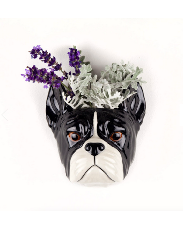 Französische Bulldogge - Kleine Wandvase Hund Quail Ceramics vasen deko blumenvase blume vase design dekoration spezielle sch...