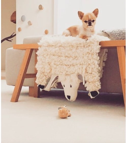 Shirley - Tappeto animale in lana - Pecora Sew Heart Felt tappeti in lana naturale fatti a mano Tappeto animali bambini