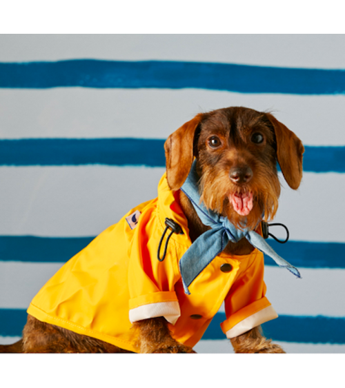 Dog Raincoat - Sarah - Yellow The Painter's Wife Dog Coat and Raincoat design switzerland original