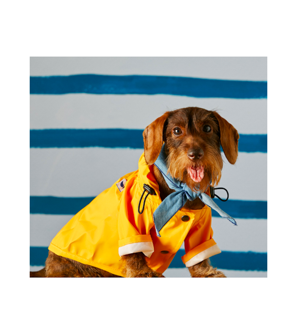Imperméable pour chien - Sarah - Jaune The Painter's Wife idée cadeau original suisse