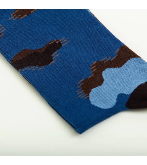 Socks - The Storm Curator Socks funny crazy cute cool best pop socks for women men