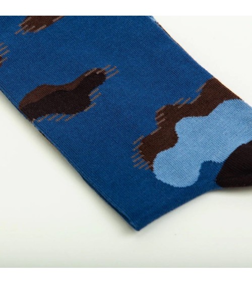 Chaussettes - La Tempête Curator Socks jolies pour femme originales pour homme chausset rigolotes drole Suisse