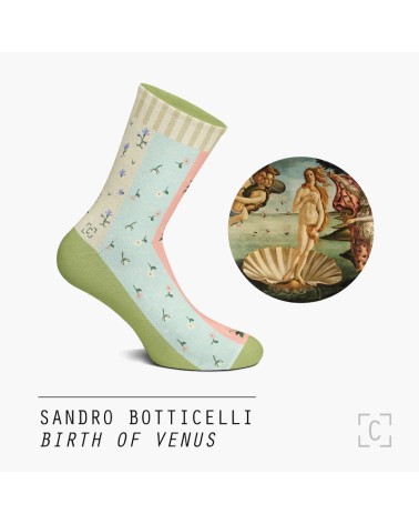 Socks - Birth of Venus by Botticelli Curator Socks funny crazy cute cool best pop socks for women men