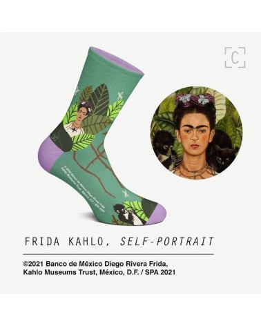 Calzini - Autoritratto di Frida Kahlo Curator Socks calze da uomo per donna divertenti simpatici particolari