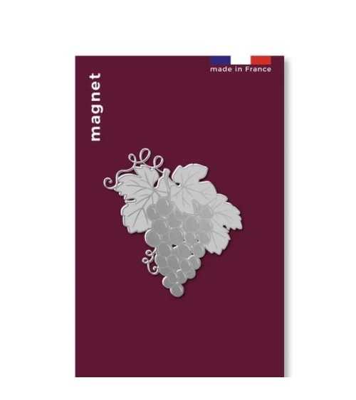 Uva - Calamite da frigo e Magneti decorativi tout simplement, particolari kitatori svizzera
