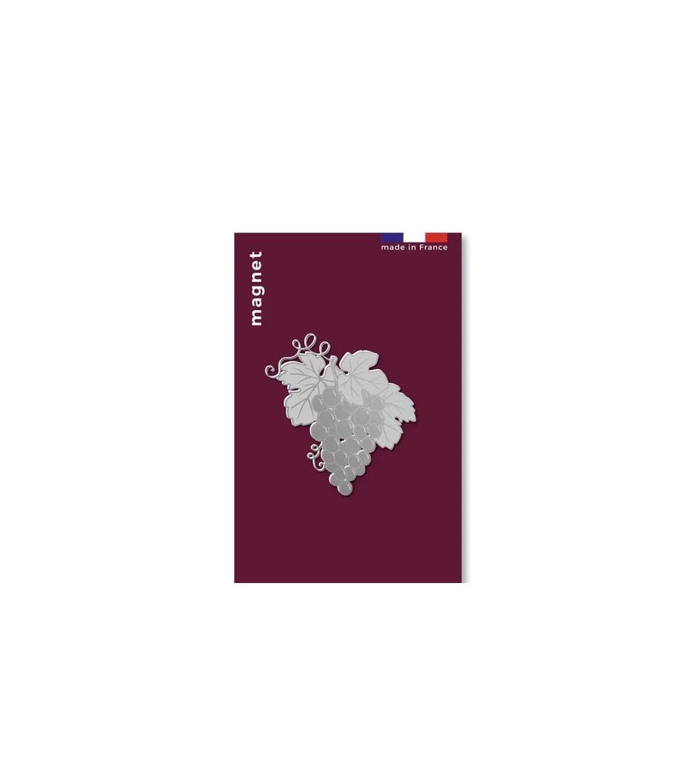 Grape - Fridge, Decorative Magnet tout simplement, original kitatori switzerland