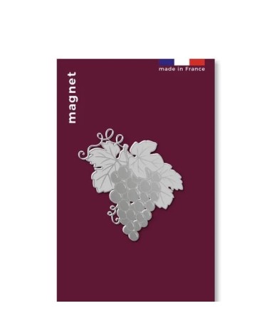 Grape - Fridge, Decorative Magnet tout simplement, original kitatori switzerland