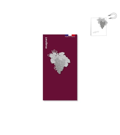 Grape - Fridge, Decorative Magnet tout simplement, original kitatori switzerland