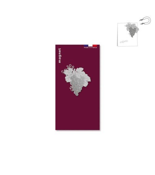 Raisin - Aimant décoratif, Magnet pour frigo tout simplement, original kitatori suisse