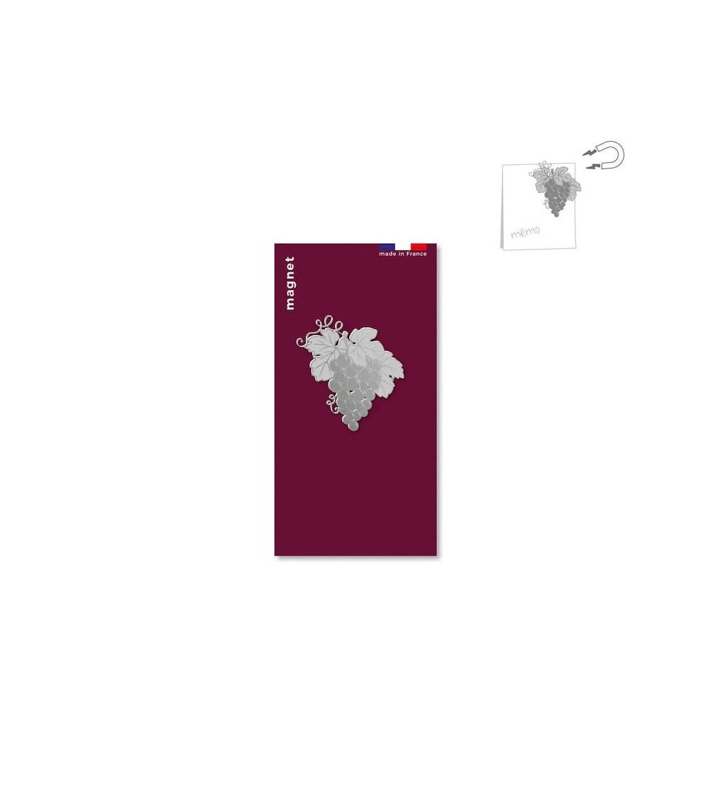 Grape - Fridge, Decorative Magnet tout simplement, original kitatori switzerland