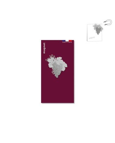 Grape - Fridge, Decorative Magnet tout simplement, original kitatori switzerland