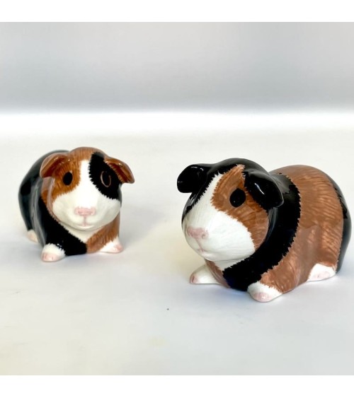 Cochon d'Inde - Salière et Poivrier Quail Ceramics design sel saliere poivrier salier poivrière