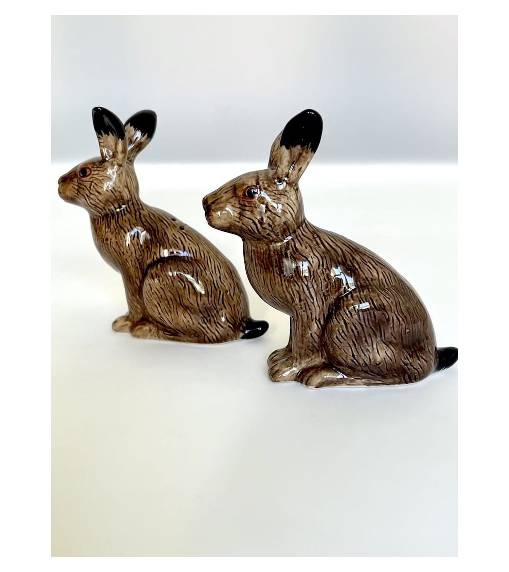 Hare - Salt and pepper shaker Quail Ceramics pots set shaker cute unique cool