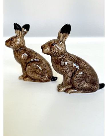 Hare - Salt and pepper shaker Quail Ceramics pots set shaker cute unique cool