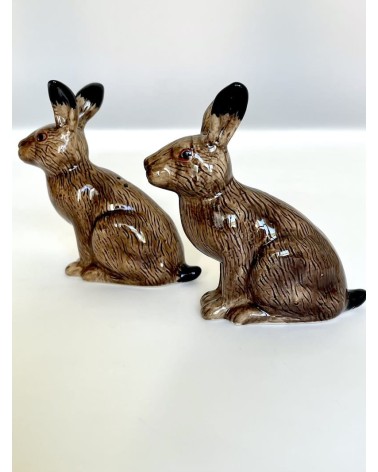 Lepre - Porta sale e pepe Quail Ceramics design da tavola saliera e pepiera
