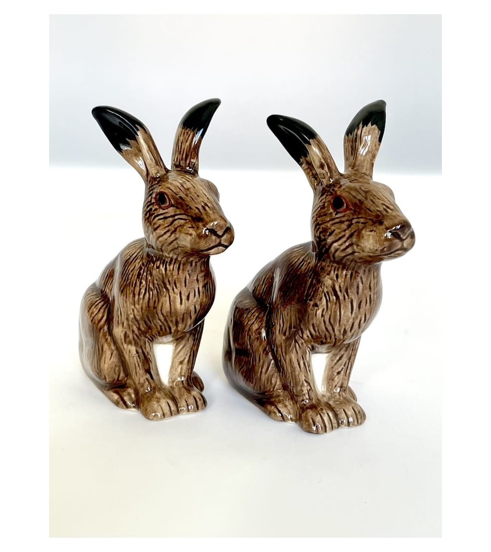 Hare - Salt and pepper shaker Quail Ceramics pots set shaker cute unique cool