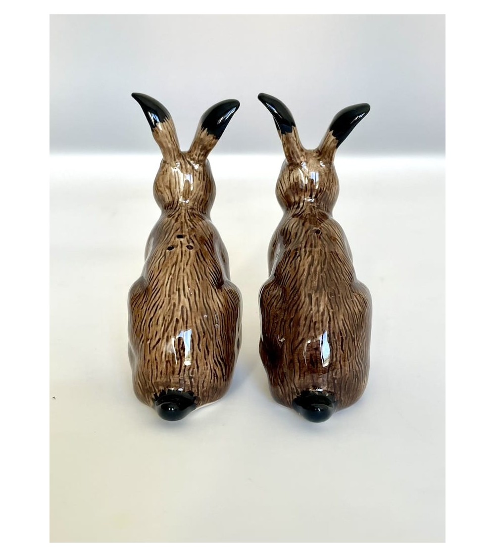 Hare - Salt and pepper shaker Quail Ceramics pots set shaker cute unique cool