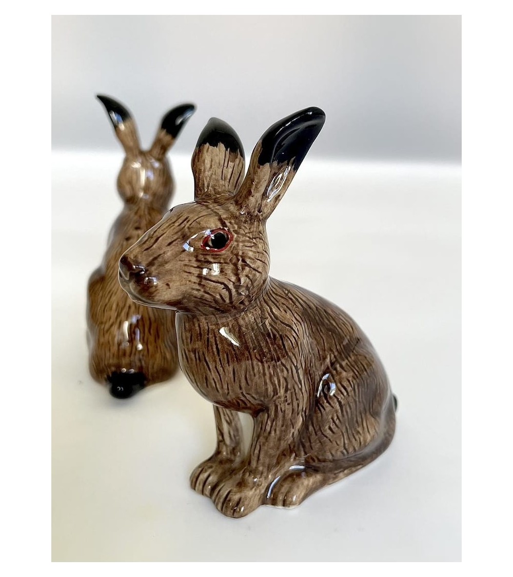 Hare - Salt and pepper shaker Quail Ceramics pots set shaker cute unique cool