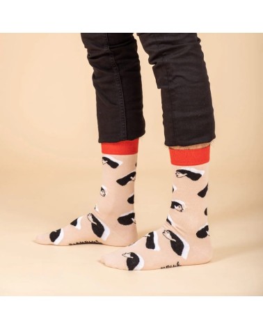 Calzini - Blandine Pannequin - Women Label Chaussette calze da uomo per donna divertenti simpatici particolari