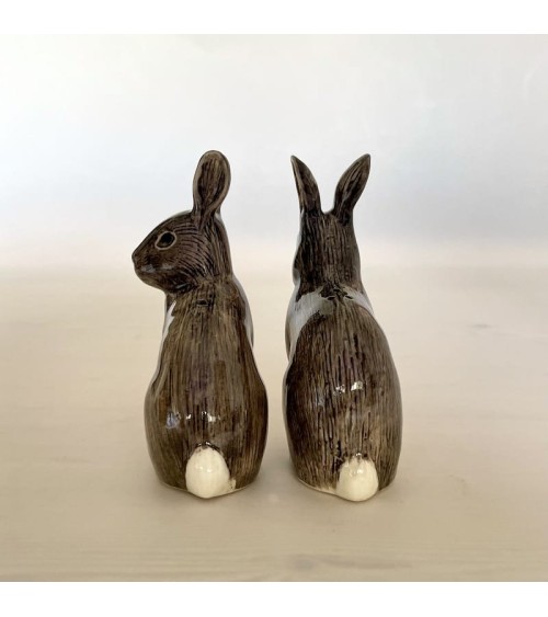 Wild rabbit - Salt and pepper shaker Quail Ceramics pots set shaker cute unique cool