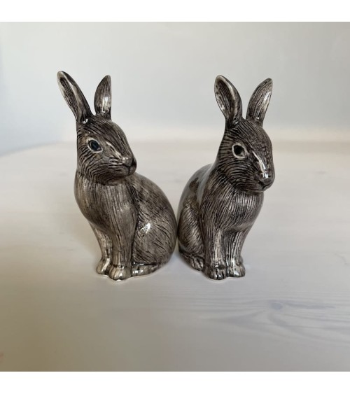 Wild rabbit - Salt and pepper shaker Quail Ceramics pots set shaker cute unique cool