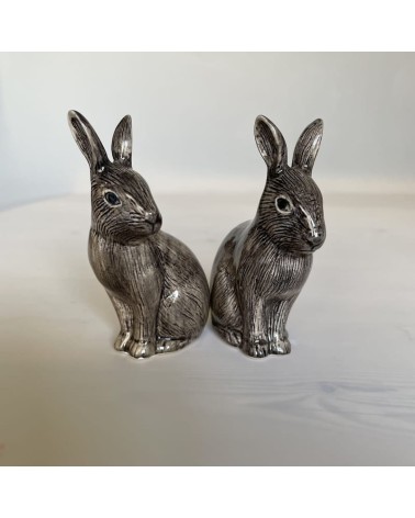 Wild rabbit - Salt and pepper shaker Quail Ceramics pots set shaker cute unique cool