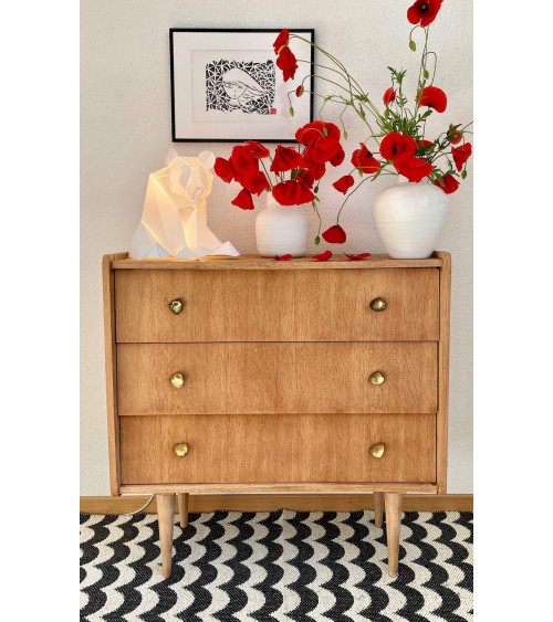 Panda, bear lamp - Animal lighting, table & bedside lamp Plizoo light for living room bedroom kitchen original designer