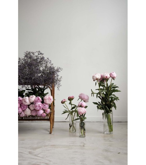 Glass flower vase - Danser Q de Bouteilles table flower living room vase kitatori switzerland