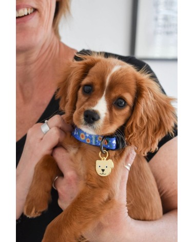 Collier pour Chien - Vincent van Dog Niaski idée cadeau original suisse