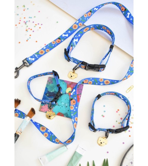Dog collar - Vincent van Dog Niaski original gift idea switzerland