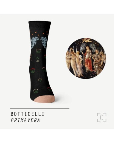 Socks - Primavera Curator Socks funny crazy cute cool best pop socks for women men