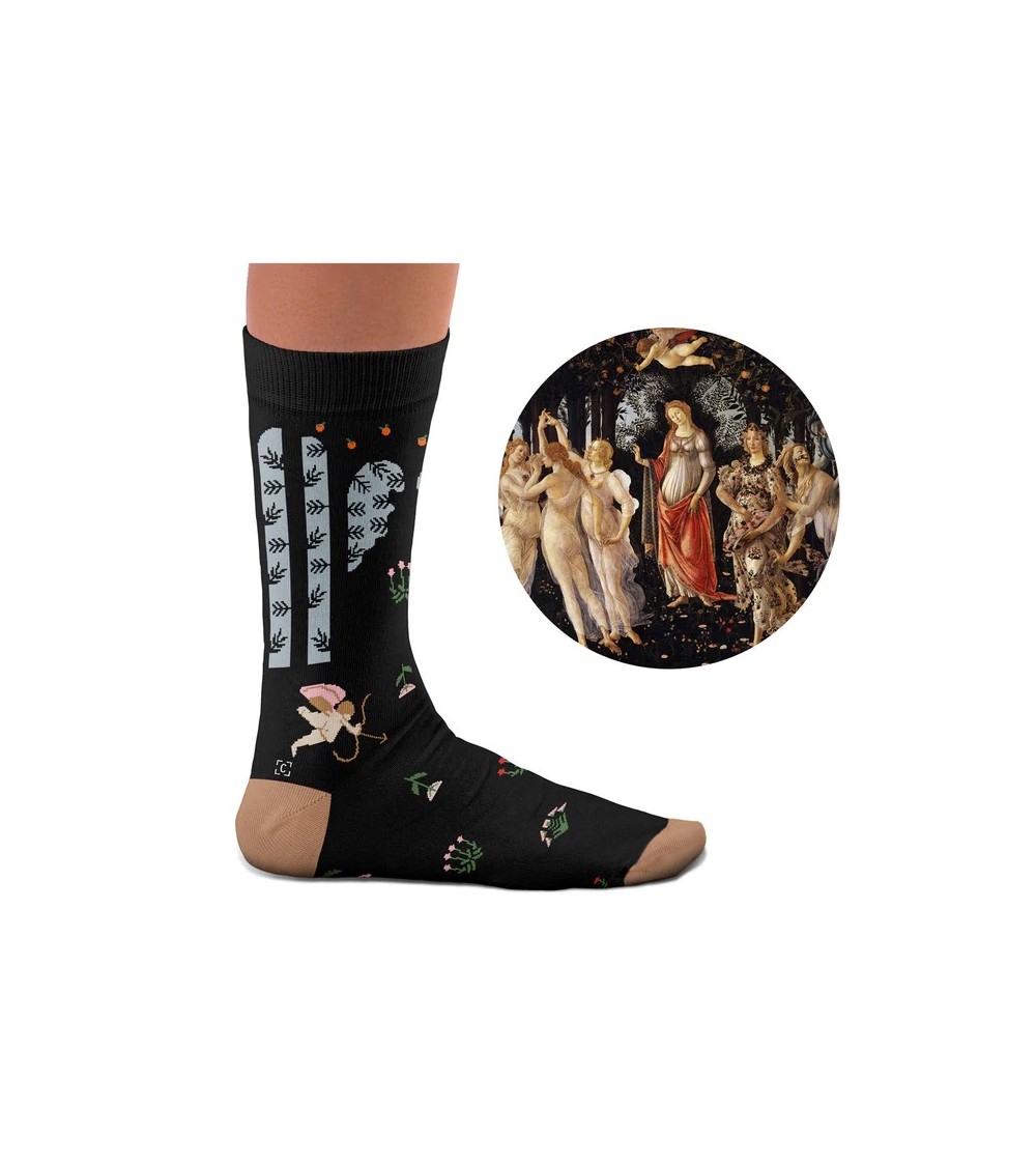Socks - Primavera Curator Socks funny crazy cute cool best pop socks for women men