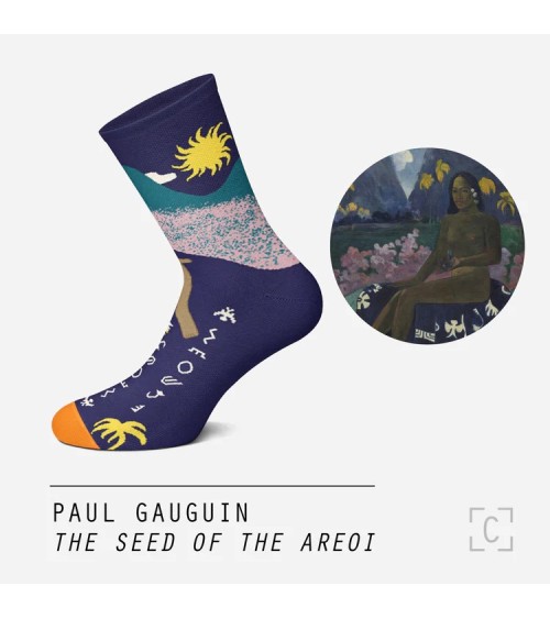 Calzini - The Seed of the Areoi Curator Socks calze da uomo per donna divertenti simpatici particolari