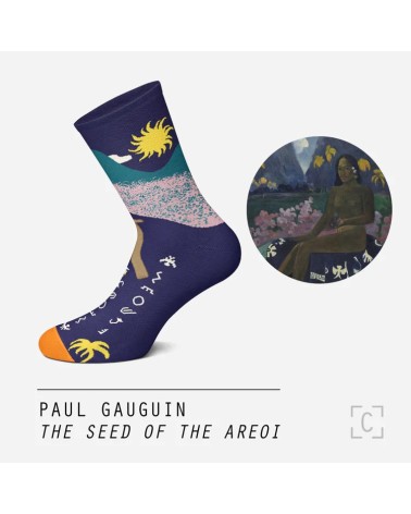 Chaussettes - The Seed of the Areoi Curator Socks jolies chausset pour homme femme fantaisie drole originales