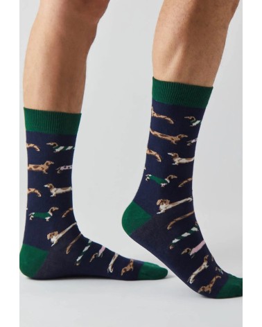 Chaussettes - BePets - Teckels - Bleu Marine Besocks jolies pour femme originales pour homme chausset rigolotes drole Suisse