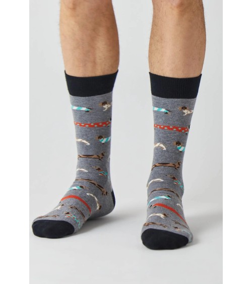 Socks - BePets - Dachshund - Grey Besocks funny crazy cute cool best pop socks for women men