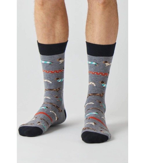 Chaussettes - BePets - Teckels - Gris Besocks jolies pour femme originales pour homme chausset rigolotes drole Suisse