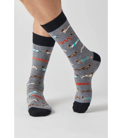 Chaussettes - BePets - Teckels - Gris Besocks jolies pour femme originales pour homme chausset rigolotes drole Suisse