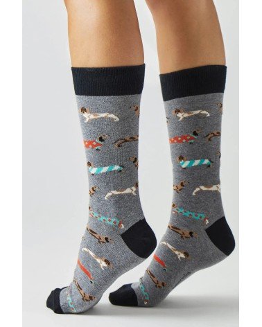 Socks - BePets - Dachshund - Grey Besocks funny crazy cute cool best pop socks for women men