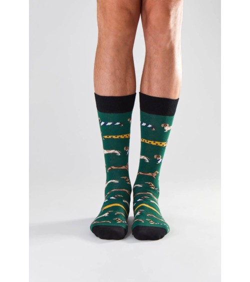 Chaussettes - BePets - Teckels - Vert Besocks jolies pour femme originales pour homme chausset rigolotes drole Suisse
