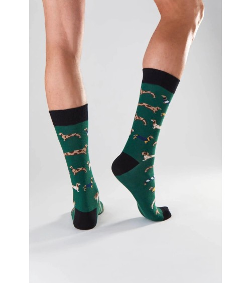 Chaussettes - BePets - Teckels - Vert Besocks jolies pour femme originales pour homme chausset rigolotes drole Suisse