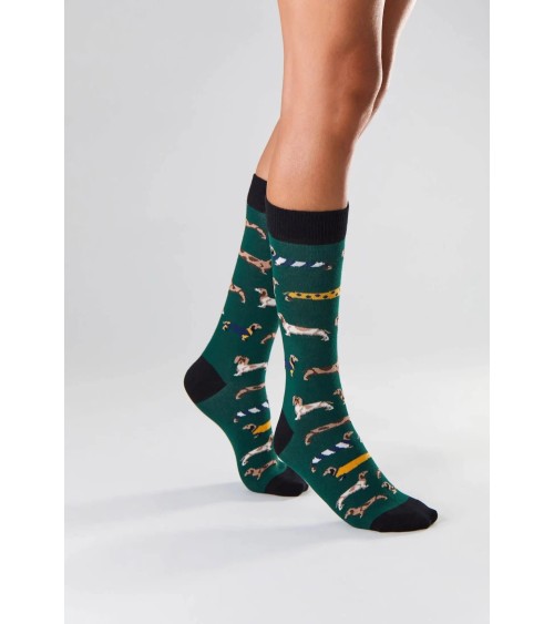 Chaussettes - BePets - Teckels - Vert Besocks jolies pour femme originales pour homme chausset rigolotes drole Suisse