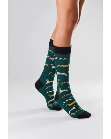 Socks - BePets - Dachshund - Green Besocks funny crazy cute cool best pop socks for women men