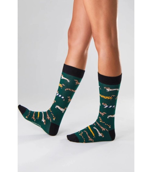 Calzini - BePets - Bassotto - Verde Besocks calze da uomo per donna divertenti simpatici particolari