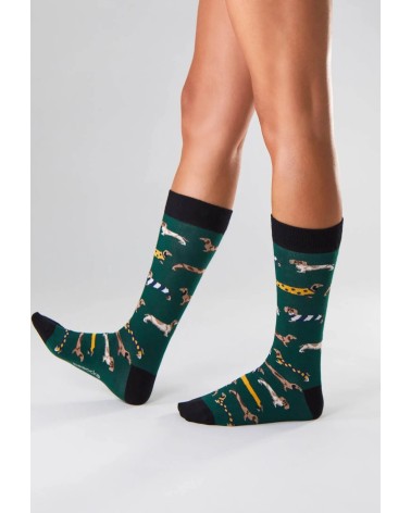 Socken - BePets - Dackel - Grün Besocks Socke lustige Damen Herren farbige coole socken mit motiv kaufen