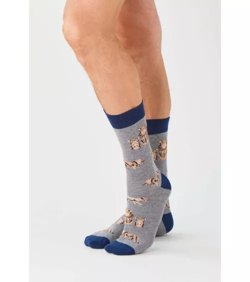 Socken - Be Lion WWF Besocks socke kuschelsocken für damen lustig herren farbige coole socken