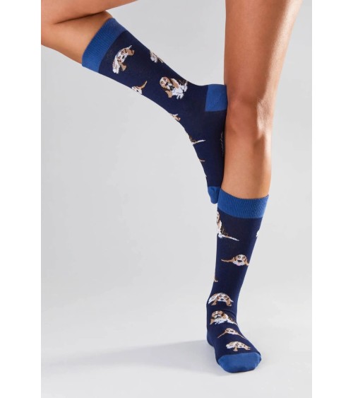 Socks - BeBasset - Basset Hound Besocks funny crazy cute cool best pop socks for women men